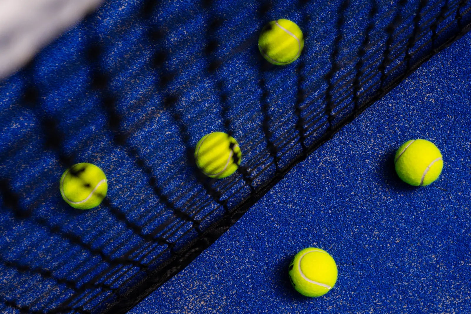GG Padel Magdeburg – Clubfoto 2